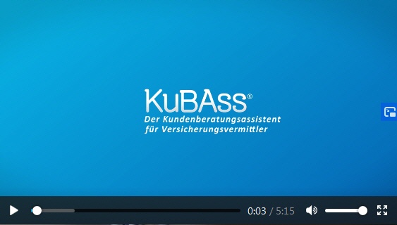Eine Bedarfsanalyse mit KuBAss